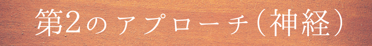 第２のアプローチ