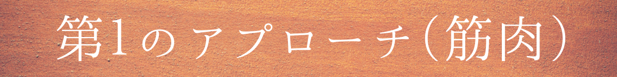 第１のアプローチ（筋肉）