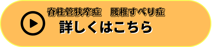 脊柱管狭窄症・すべり症ページへ